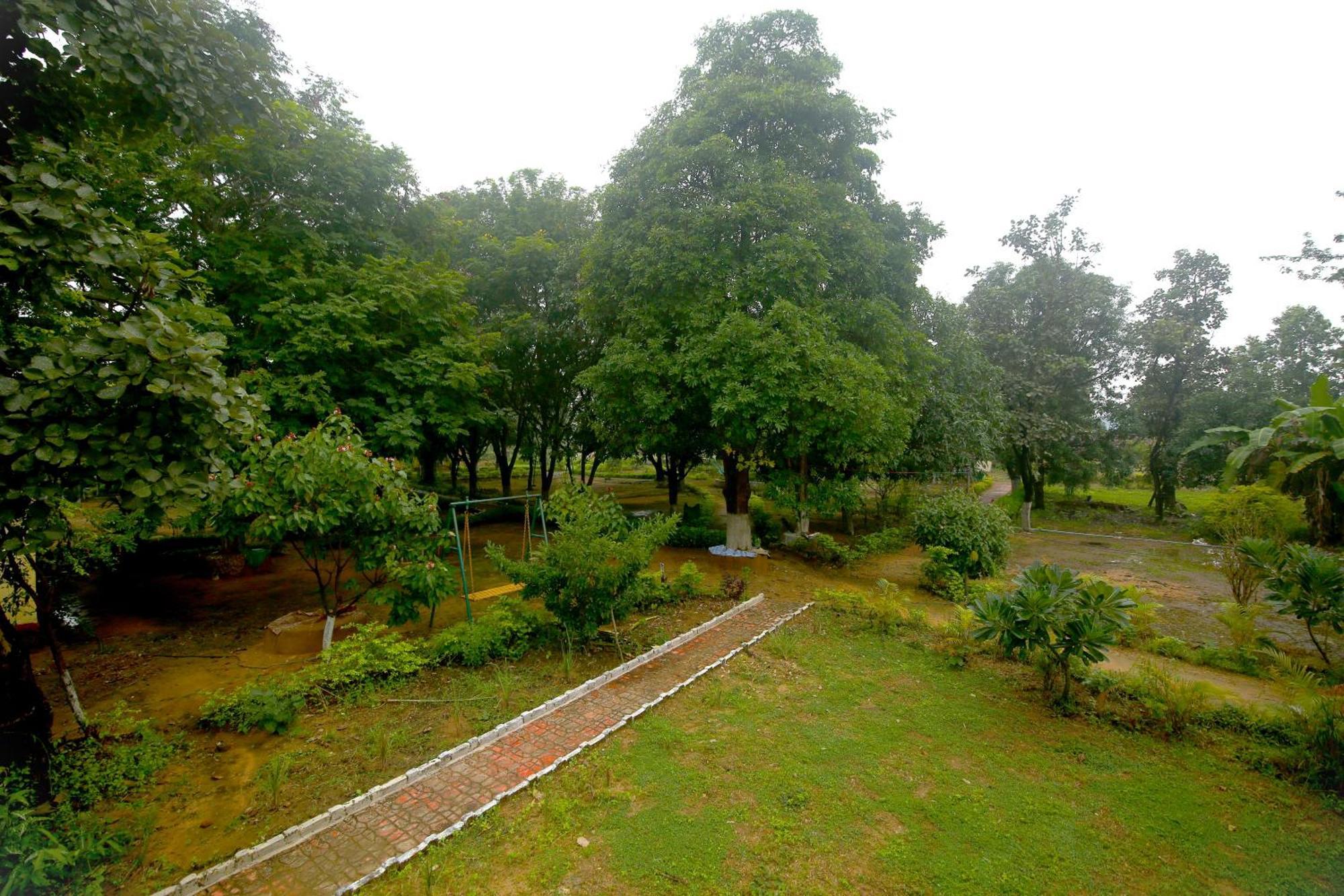 Tribal Wood Resort Dhanwar Bagian luar foto